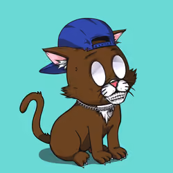 Kitten #512