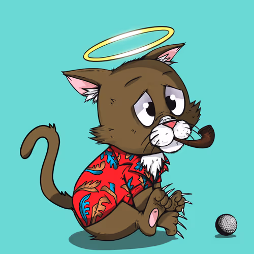 Kitten #5