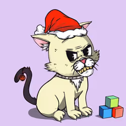 Kitten #749