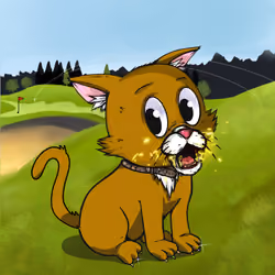 Kitten #673