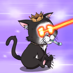 Kitten #500