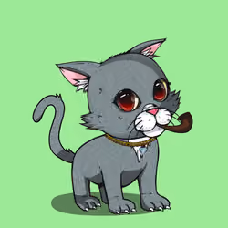 Kitten #1103