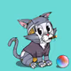 Kitten #685