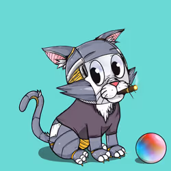 Kitten #685