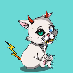 Kitten #1273