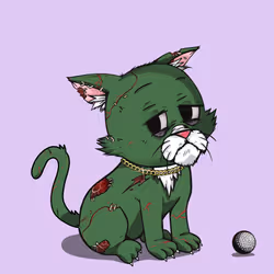 Kitten #675