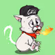 Kitten #687