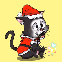 Kitten #1067