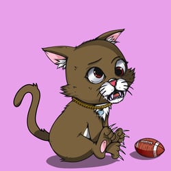 Kitten #247