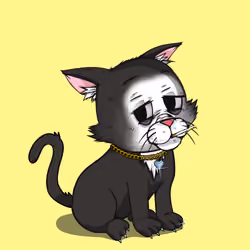 Kitten #503