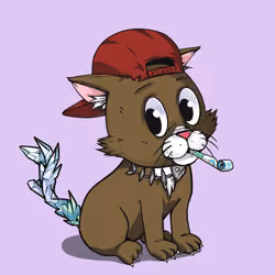 Kitten #457