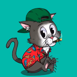 Kitten #755