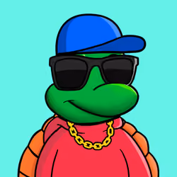 The Turtle Club #342