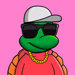The Turtle Club #808