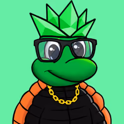 The Turtle Club #434