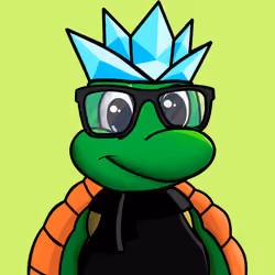 The Turtle Club #308