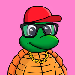 The Turtle Club #1255