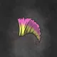 Punk Rock Mohawk