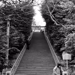 Steps