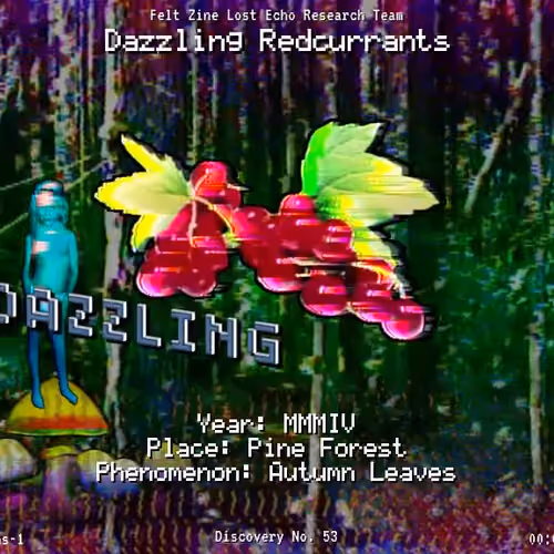 #53 | Dazzling Redcurrants