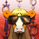 Dazzling Animals