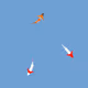 224