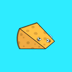 Chedda 5964
