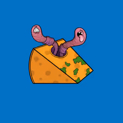 Chedda 4142