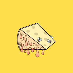 Chedda 18
