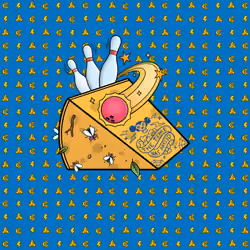 Chedda 521