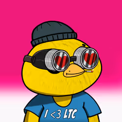 221