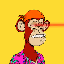 562