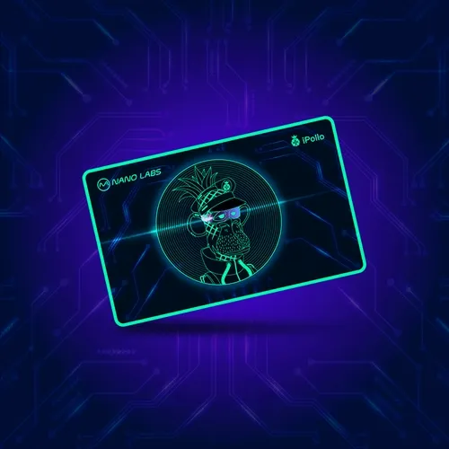 Ipollo Metaverse Pass By Nano Labs