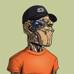Sentinel #4816