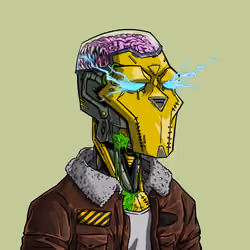 4203