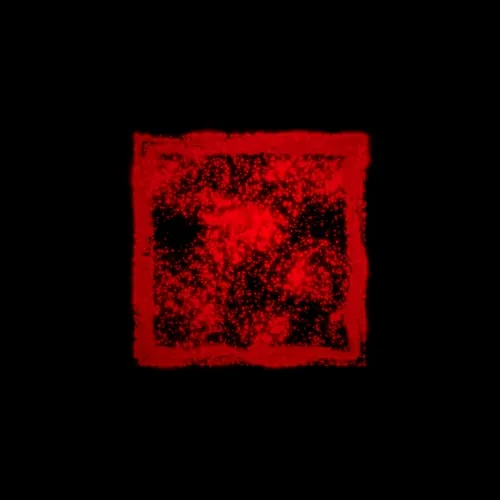 Techno1155