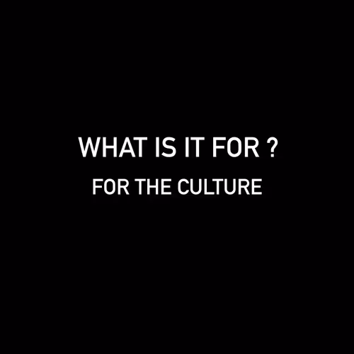 For The Culture 2