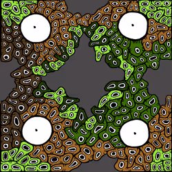 60