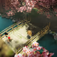 3d Landscapes V3