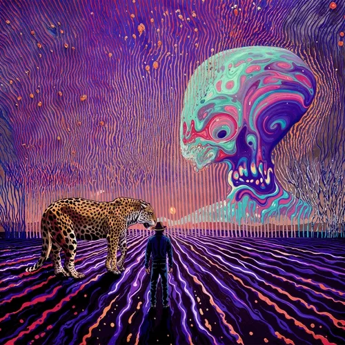 IMPERMANENT LOSS - EDITIONS // MLow