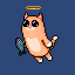 Holy Kitten #503