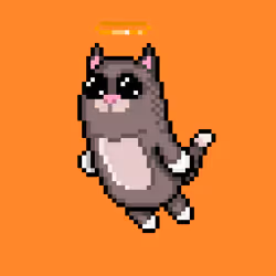 Holy Kitten #483