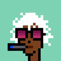 V3 Phunk #8804