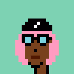 V3 Phunk #2244