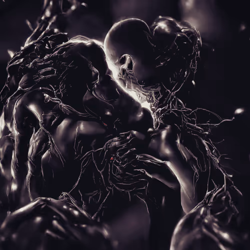 ANIMA 482