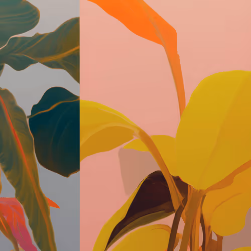Tome Of Aurums The Abstractia Arcanum By Kaeli Van