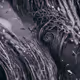 ANIMA 234