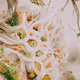 20405