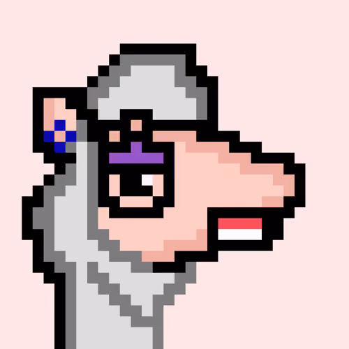 The Saudi Camels #233