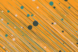 Mechanized Abstraction #1176